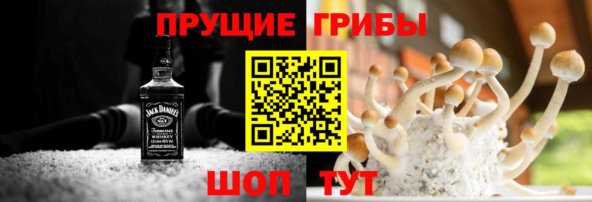 Псилоцибиновые грибы Psilocybine cubensis Лангепас